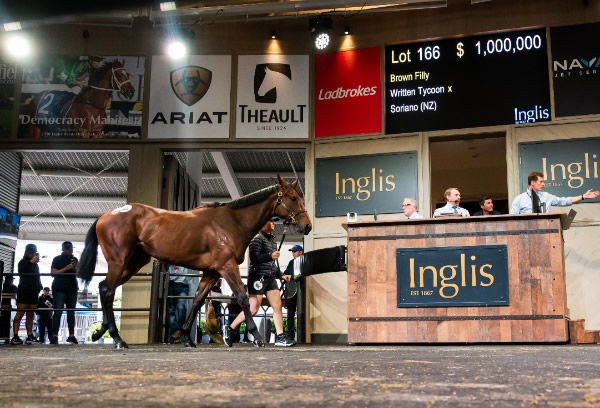 $1million Written Tycoon filly from G1 winner Soriano.