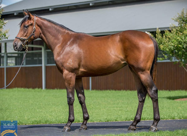 Zakiyya was a $260,000 Magic Millions purchase.