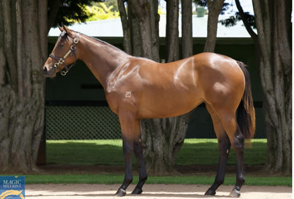 Zoukerette was bred and sold by Milburn Creek.