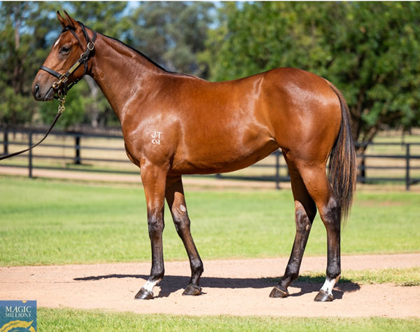 $350,000 Zousain filly from Leap Lively.