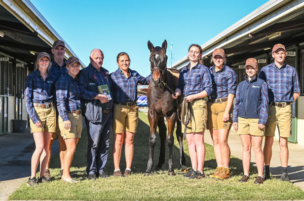 $550,000 Zoustar colt from Embrace Me with the Milburn Creek team - image MM  