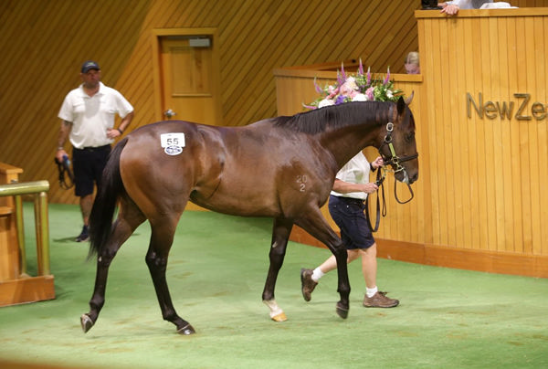 Jamie Richards went to $725,000 to secure Lot 55 on Day One at Karaka. Photo: Trish Dunell