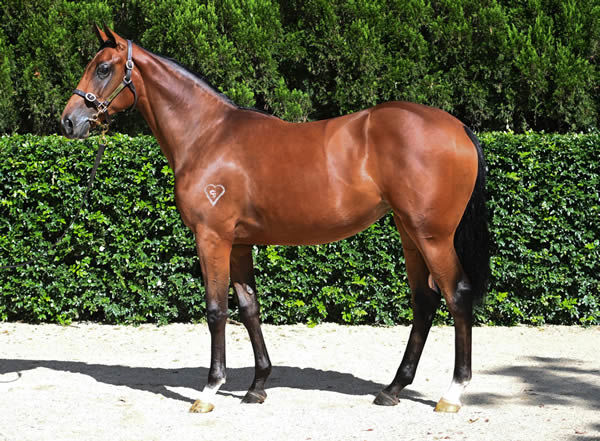 The half-sister  by Zoustar to Straight Arron, click to see her page.