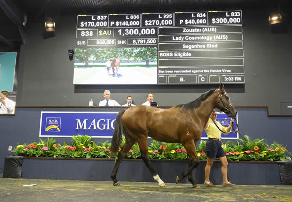 $1.3million Zoustar colt from Lady Cosmology.