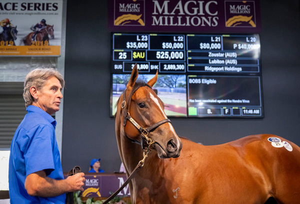 $525,000 Zoustar filly from Lubiton - image MM