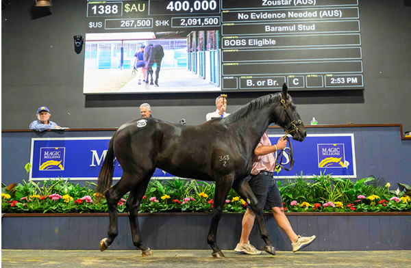 $400,000 Zoustar colt from No Evidence Needed
