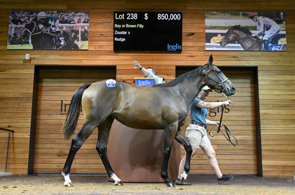 $850,000 Zoustar filly from Nudge topped Day 1.