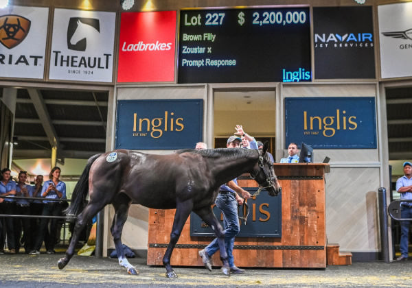 Top lot on Day 1- $2.2million Zoustar filly from G1 winner Prompt Response - image Inglis