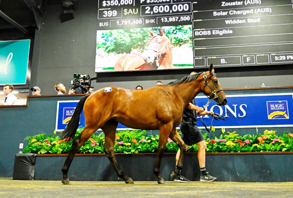 Widden Stud are the biggest vendor at MM 2024 and sold the highest priced filly in 2023.