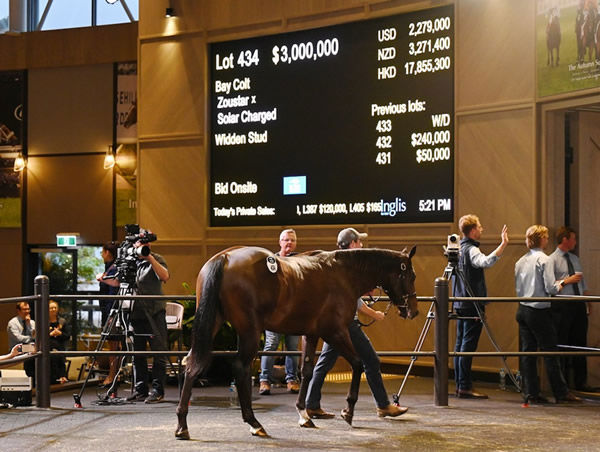 The Zoustar colt from Solar Charged sold for $3million at Inglis Easter.