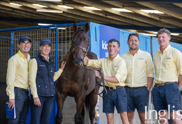 $650,000 Zoustar colt from Swiss Rose with  the team at Segenhoe.