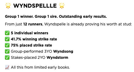 Wyndspelle