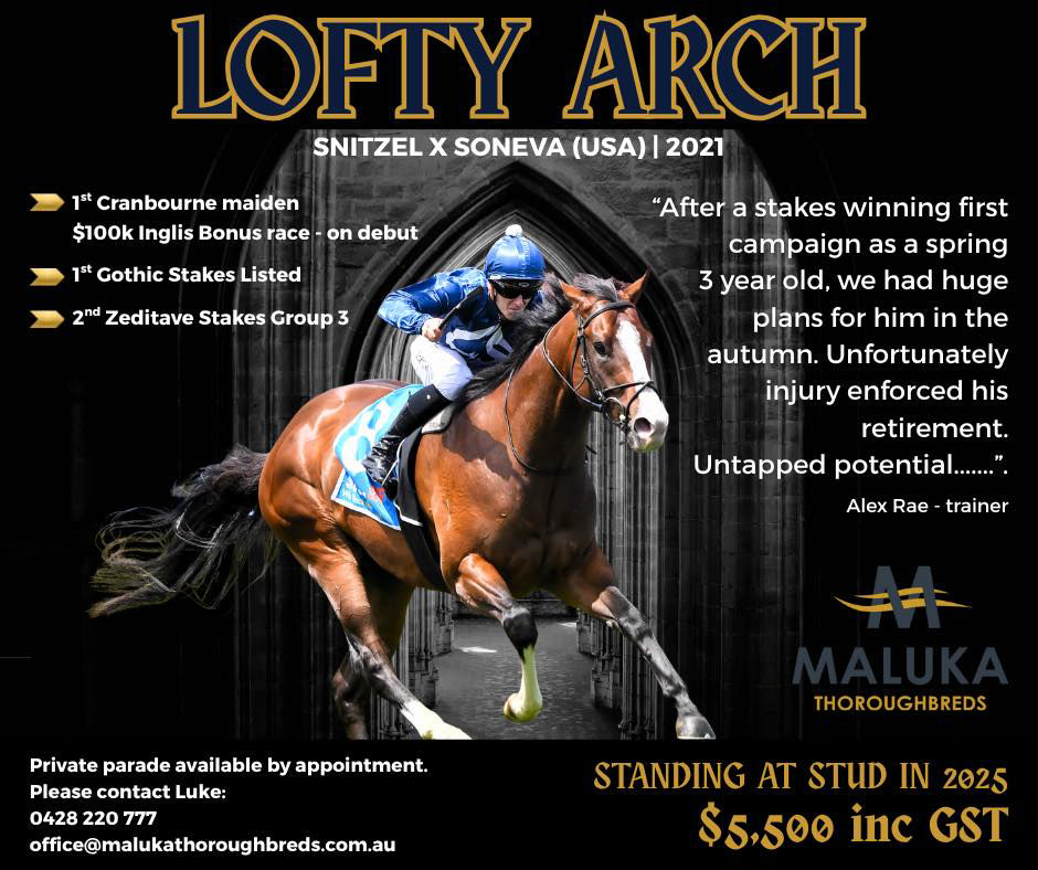 Lofty Arch