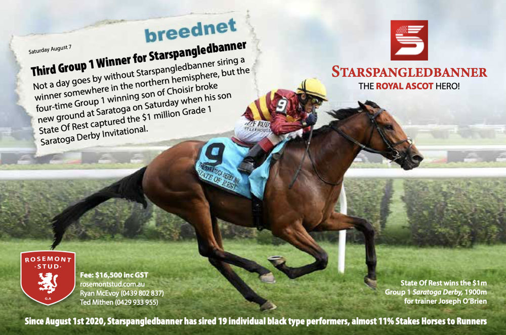 Starspangledbanner - Stallion | Breednet