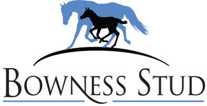 Bowness Stud
