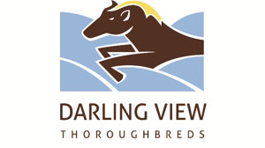 Darling View Thoroughbreds